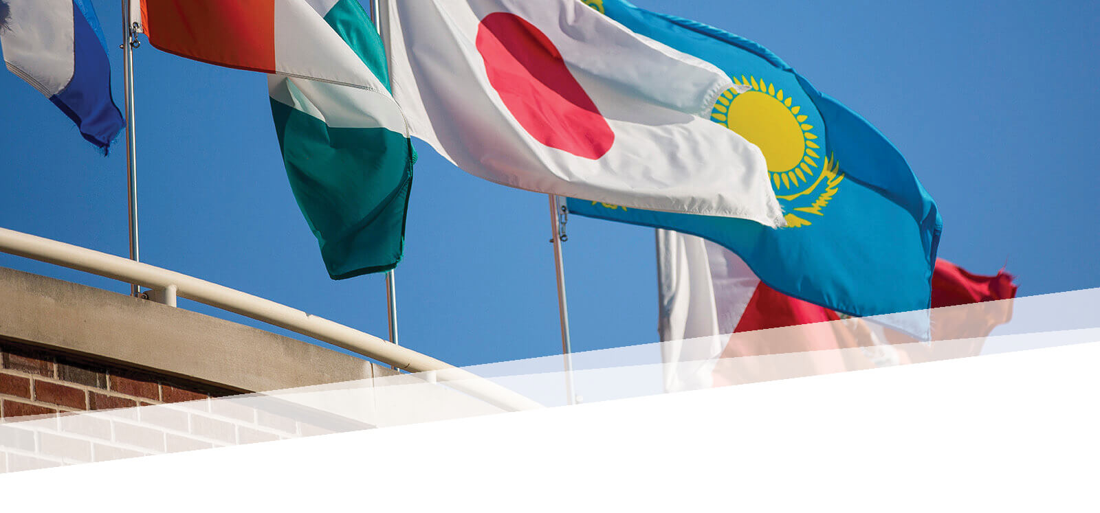 Flags of different countries up the Bemis building