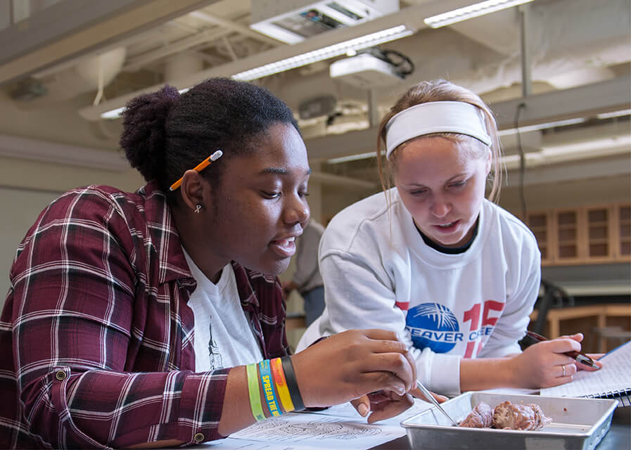 Two students work on homework in a classroom.