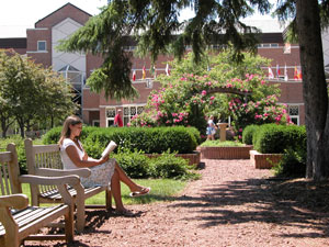 Shakespeare Garden